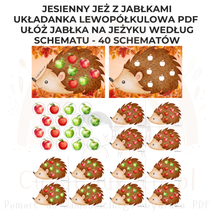 Układanka lewopółkulowa - Jesienny Jeż z jabłkami - obrazek 2