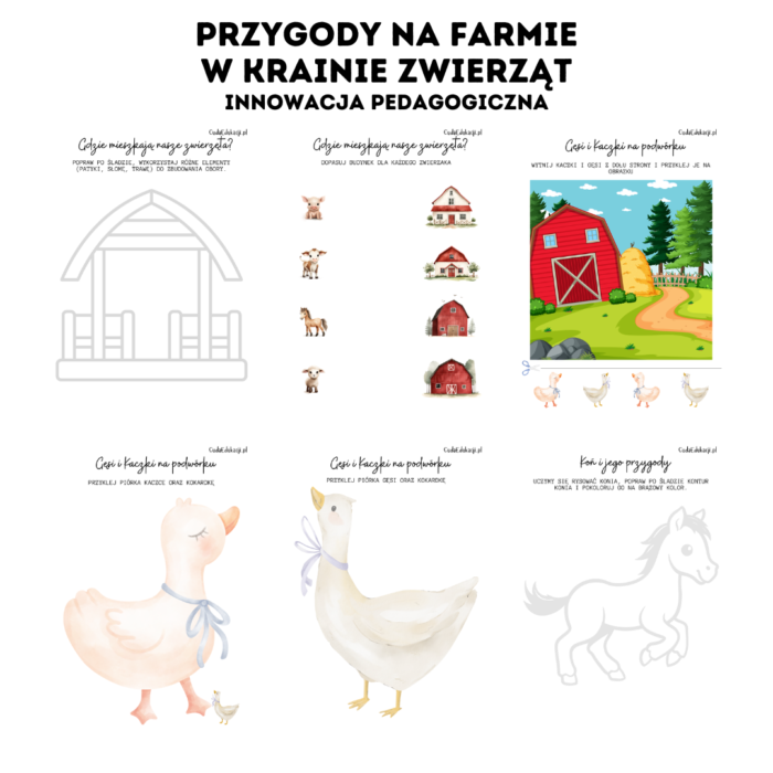 Innowacja pedagogiczna: Przygody na Farmie – w krainie zwierząt - PRZEDSZKOLE - obrazek 8