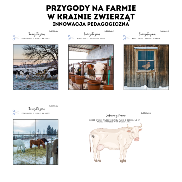 Innowacja pedagogiczna: Przygody na Farmie – w krainie zwierząt - PRZEDSZKOLE - obrazek 14