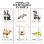 Karty do literowania - 80 przykładów zwierząt - obrazek 3