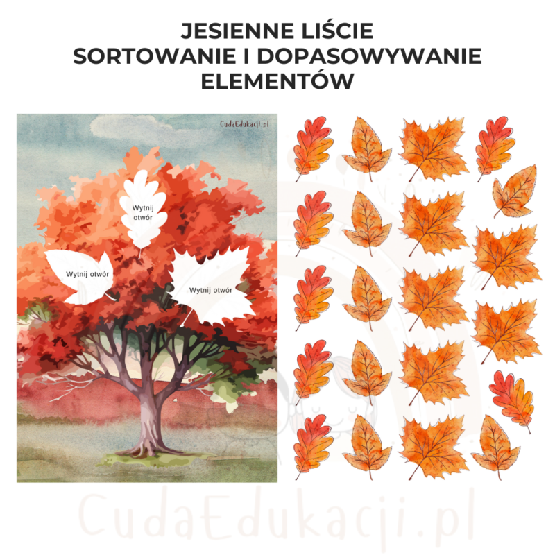 Jesienne liście: sortowanie i dopasowywanie elementów