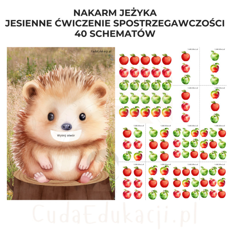 Nakarm jeżyka: jesienne ćwiczenie spostrzegawczości 40 schematów