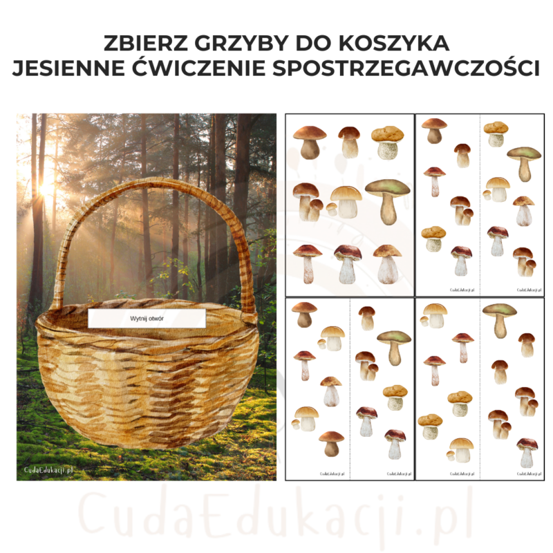 Zbierz grzyby do koszyka: Jesienne ćwiczenie spostrzegawczości