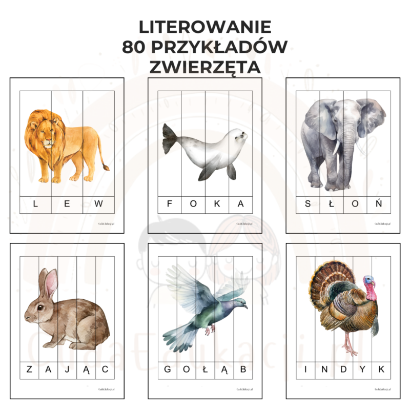 Karty do literowania - 80 przykładów zwierząt