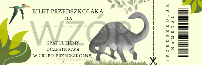 Bilet przedszkolaka na zakończenie roku przedszkolnego