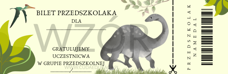 Bilet przedszkolaka na zakończenie roku przedszkolnego