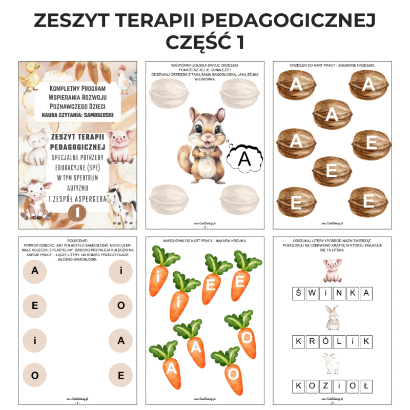 Zeszyt terapii pedagogicznej: Specjalne potrzeby edukacyjne oraz spektrum autyzmu i Zespół Aspergera