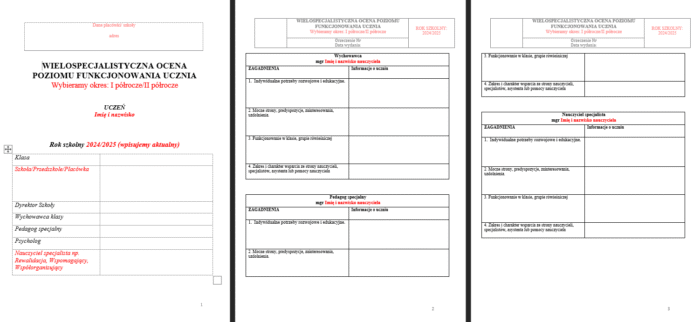 Dziennik pedagoga specjalnego + dokumentacja pomocy psychologiczno pedagogicznej w szkole podstawowej - obrazek 17