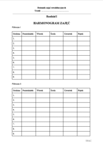 Dziennik Zajęć Rewalidacyjnych - szkoła podstawowa + przedszkole - obrazek 8