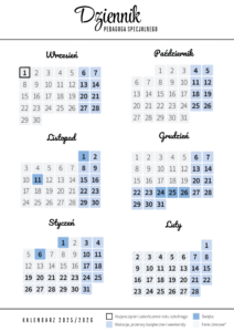 Dziennik pedagoga specjalnego + dokumentacja pomocy psychologiczno pedagogicznej w szkole podstawowej - obrazek 19